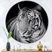 Latitude Run® Monochrome Portrait of a White Tiger VI - Unframed Photograph Metal in Black/Gray/White | 29 H x 29 W x 1 D in | Wayfair