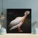 Rosecliff Heights A Stork In A Corner - 1 Piece Rectangle Graphic Art Print On Wrapped Canvas Metal in Black/White | 32 H x 32 W x 2 D in | Wayfair