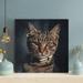 Red Barrel Studio® A Cool Tabby Cat In The Dark - 1 Piece Square Graphic Art Print On Wrapped Canvas Metal in Gray | 32 H x 32 W x 2 D in | Wayfair