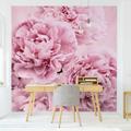 Carta da parati - Peonie rosa - Formato quadrato Dimensione HxL: 192cm x 192cm Tessuto non tessuto