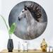 East Urban Home Portrait Of A Galloping White Horse II - Traditional Metal Circle Wall Art Metal in Black | 29 H x 29 W x 1 D in | Wayfair