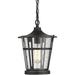 Breakwater Bay 1-Light Outdoor Hanging Lantern Light Fixtures, Patio Hanging Light Glass in Black | 12 H x 8.67 W x 8.67 D in | Wayfair