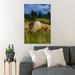 Rosalind Wheeler White Sheep On Green Grass Field During Daytime 46 - 1 Piece Rectangle Graphic Art Print On Wrapped Canvas in Blue/Green | Wayfair