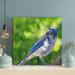 Red Barrel Studio® Blue & Gray Bird - 1 Piece Rectangle Graphic Art Print On Wrapped Canvas in Blue/Gray/Green | 16 H x 16 W x 2 D in | Wayfair