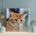 Red Barrel Studio® Tabby Cat In Close Up Photography - 1 Piece Square Graphic Art Print On Wrapped Canvas in Orange | 32 H x 32 W x 2 D in | Wayfair