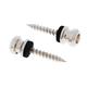Schaller Security S-Locks Pin Set L N