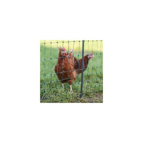 AKO PoultryNet Premium 50m Geflügelnetz, 106cm, 15 verstärkte Pfähle, 2 Spitzen, grün, ohne Strom