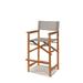 Directeur Teak Outdoor Counter Height Stool with Dura Sling Back and Seat