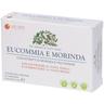 Eucommia Morinda 60 Compresse