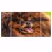 Design Art Drawing Dog German Pomeranian - Traditional Canvas Wall Art Print - 60X28 - 5 Panels Canvas in Brown | 28 H x 60 W x 1 D in | Wayfair