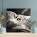 Red Barrel Studio® White & Black Cat On White Textile 2 - 1 Piece Square Graphic Art Print On Wrapped Canvas in Gray/White | Wayfair