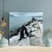 Highland Dunes Black And White Penguin Standing On Gray Rock During Daytime - 1 Piece Square Graphic Art Print On Wrapped Canvas Canvas | Wayfair