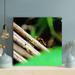 Gracie Oaks Brown Ant On Brown Wooden Stick - 1 Piece Square Graphic Art Print On Wrapped Canvas in Brown/Green | 12 H x 12 W x 2 D in | Wayfair