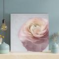 Latitude Run® Shallow Focus Photography Of White-And-Pink Petaled Flower - 1 Piece Rectangle Graphic Art Print On Wrapped Canvas Canvas | Wayfair