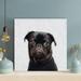 Latitude Run® Pug On White Background - 1 Piece Rectangle Graphic Art Print On Wrapped Canvas Metal in Black | 32 H x 32 W x 2 D in | Wayfair