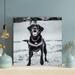 Latitude Run® Labrador Retriever On Snow Covered Ground During Daytime 1 - 1 Piece Rectangle Graphic Art Print On Wrapped Canvas in Black | Wayfair