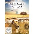 Animal Atlas - Tiere Hautnah (DVD)
