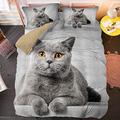 Double Duvet Set Grey British Shorthair Cat - Easy Care Ultra Soft Microfibre with zipper Bedding Double Bed Set with 2 Pillow Cases 19"X29" - Cosy Warm 3D Duvet Sets Double Bed(200x200cm)