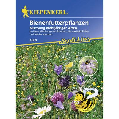 Kiepenkerl - Bienenfutterpflanze mehrjährig Inhalt 5 - 8 m² Keine Angabe Image