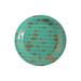 Oriental Trading Company Party Supplies Dessert Plate for 8 Guests in Brown/Green | Wayfair 13775525