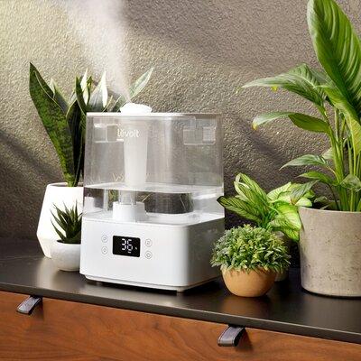 Levoit 1.58 Gal. Cool Mist Ultrasonic Tabletop Humidifier 505 Sq. Ft. in White | 13.4 H x 7.5 W x 9.6 D in | Wayfair HEAPHULVSUS0036