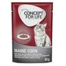 10€ DI SCONTO! 48 x 85 g Concept for Life Alimento umido per gatti - Maine Coon Adult (a base di pregiato ragù)