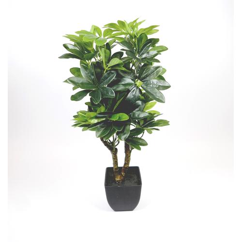 Kunstpflanze Topfpflanze Zimmerpflanze Künstlich Schefflera grün H 60