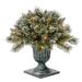 24" Glittery Bristle® Pine Porch Bush with Twinkly™ LED Lights