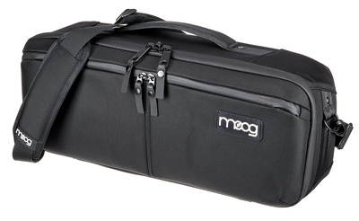 Moog Theremin SR Serie Case
