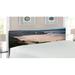 East Urban Home Beach King Panel Headboard Upholstered/Metal/Polyester in Black/Brown | 78.6 H x 83 W x 3 D in | Wayfair
