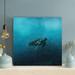Bayou Breeze Brown & Black Turtle Swimming On Blue Water - 1 Piece Square Graphic Art Print On Wrapped Canvas in Black/Blue | Wayfair