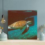 Bayou Breeze A Turtle Swimming By A Black Thing Under The Blue Sea Water - 1 Piece Square Graphic Art Print On Wrapped Canvas | Wayfair