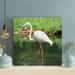 Bayou Breeze White Flamingo On Green Water - 1 Piece Square Graphic Art Print On Wrapped Canvas-650 Canvas in Green/White | Wayfair