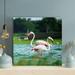 Bayou Breeze White Flamingos On Green Water During Daytime - 1 Piece Square Graphic Art Print On Wrapped Canvas-657 in Green/White | Wayfair