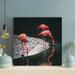 Bayou Breeze Pink Flamingo On Water During Daytime 12 - 1 Piece Square Graphic Art Print On Wrapped Canvas-449 Canvas in Black/Orange | Wayfair