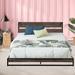 17 Stories Pragathi 37" Platform Bed Metal in Black | 37.3 H x 60.3 W x 86.5 D in | Wayfair 901DC14EBA3748B8A1B48333D58F6C7F