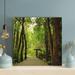 Loon Peak® Brown Wooden Bridge In The Woods - 1 Piece Rectangle Graphic Art Print On Wrapped Canvas in Black/Green | 12 H x 12 W x 2 D in | Wayfair