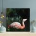 Bayou Breeze Pink Flamingo in Close Up Photography 17 Wrapped Canvas Painting Canvas in Pink/White | 16 H x 16 W x 2 D in | Wayfair