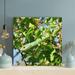 Latitude Run® A Green Snake Among Green Leaves - 1 Piece Square Graphic Art Print On Wrapped Canvas in Green/Yellow | 16 H x 16 W x 2 D in | Wayfair