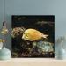 Rosecliff Heights Yellow Tang Fish 4 - Wrapped Canvas Painting Canvas in Brown | 12 H x 12 W x 2 D in | Wayfair 7526AD551176446580AEC11CAD192F56