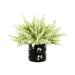 Creative Displays, Inc. Heather Floral Arrangement in Glass Vase Silk/Plastic in Green | 12 H x 14 W x 14 D in | Wayfair CDFL6984