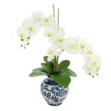 Creative Displays, Inc. Orchid Floral Arrangement in Decorative Ceramic Vase Polysilk in Blue/White | 27 H x 22 W x 18 D in | Wayfair CDFL6877