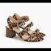 J. Crew Shoes | Jcrew Calf Hair Heels | Color: Brown | Size: 7.5