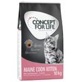 10kg Maine Coon Kitten Concept for Life Dry Cat Food