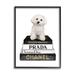 Stupell Industries Maltese Dog Glam Pet Fashion Bookstack Black Framed Giclee Texturized Art By Amanda Green in Brown | Wayfair ak-756_fr_11x14