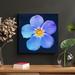 Latitude Run® Blue Flower w/ Black Background - 1 Piece Rectangle Graphic Art Print On Wrapped Canvas in Blue/White | 8 H x 8 W x 2 D in | Wayfair