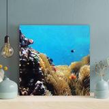 Rosecliff Heights Clown Fish Near Coral Reef - 1 Piece Square Graphic Art Print On Wrapped Canvas in Blue/Brown/Orange | Wayfair