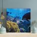 Rosecliff Heights Brown Coral Reef In Aquarium - 1 Piece Square Graphic Art Print On Wrapped Canvas in Black/Blue | 32 H x 32 W x 2 D in | Wayfair