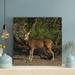 Loon Peak® Brown Deer 24 - 1 Piece Square Graphic Art Print On Wrapped Canvas Metal in Brown/Gray/Green | 32 H x 32 W x 2 D in | Wayfair