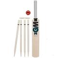 Gunn & Moore BS55 Ben Stokes Diamond Junior Cricket Set - Bat Size 3